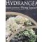 Hydrangea anomala ‘Flying Saucer' • C2 l • 40-50 cm