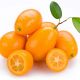 Citrus fortunela (Kumquat) • Trogodišnja • C 4 • 60/80 cm